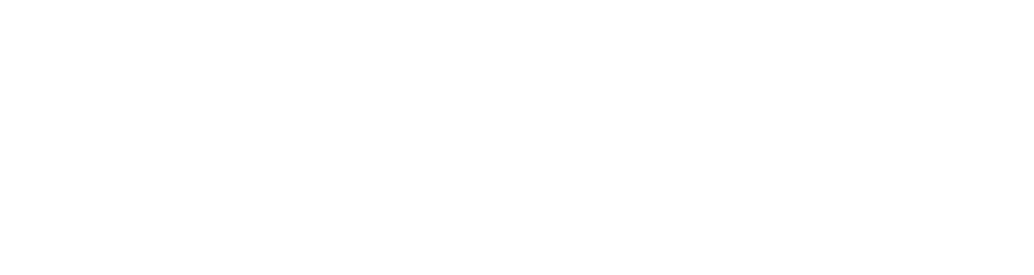 Sky Ticketing Logo